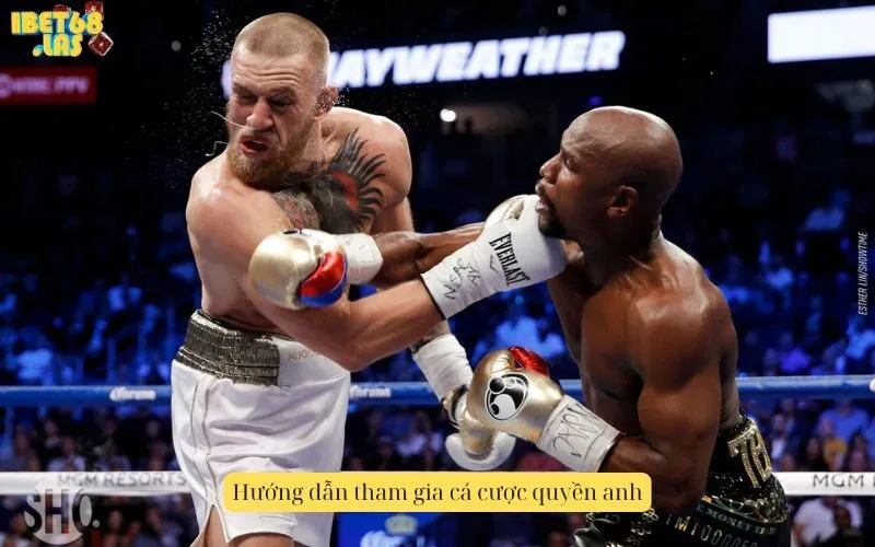 Hướng dẫn tham gia cá cược quyền anh