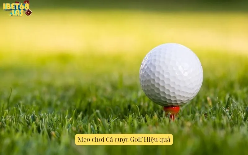 Mẹo chơi Cá cược Golf Hiệu quả