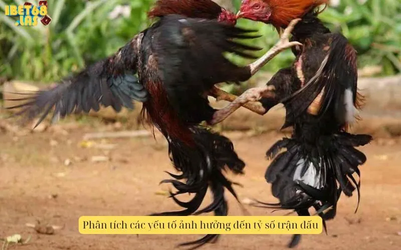 Phân tích các yếu tố ảnh hưởng đến tỷ số trận đấu