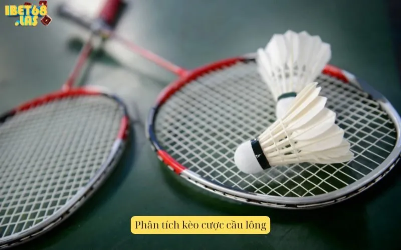 Phân tích kèo cược cầu lông